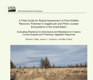 Rapid Assessment field guide cover