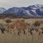 Great Basin mountain scene Great Basin mountain scene