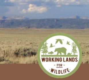 Working Lands for Wildlife logo