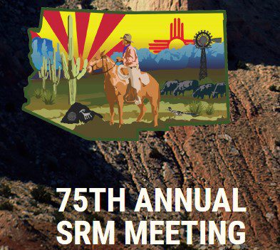 SRM 2021 Conference logo