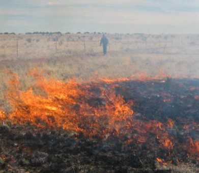 Rx Fire in shortgrass prairie