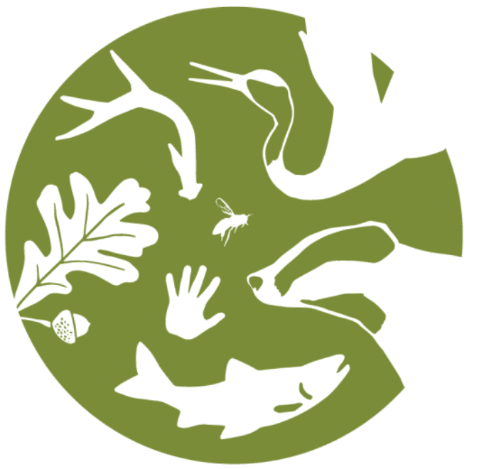 Conservation and Restoration 2026 Conf logo
