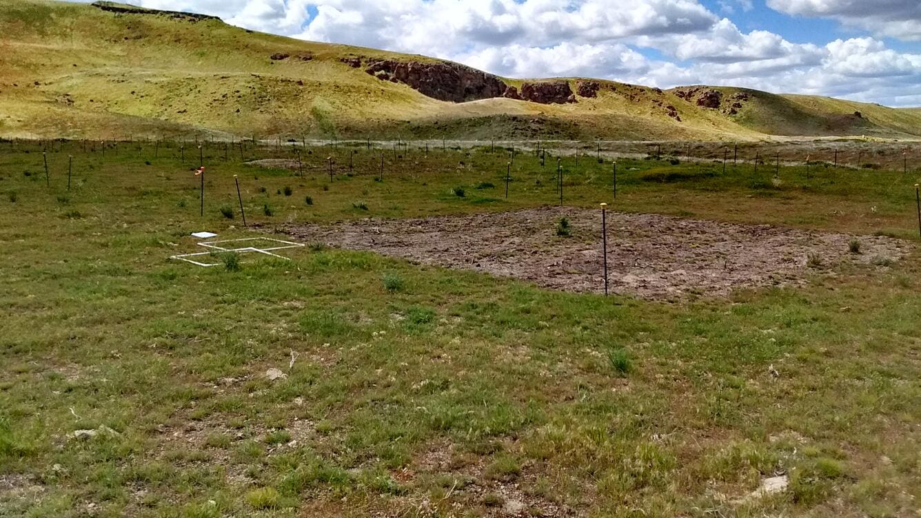 Experimental herbicide treatment plot in Idaho, courtesy of USGS.gov.
