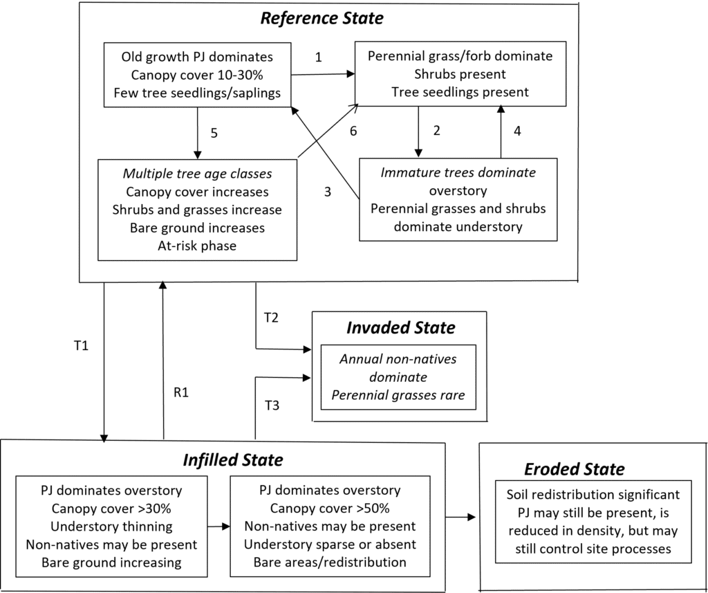 PJ State and Transition Model Example