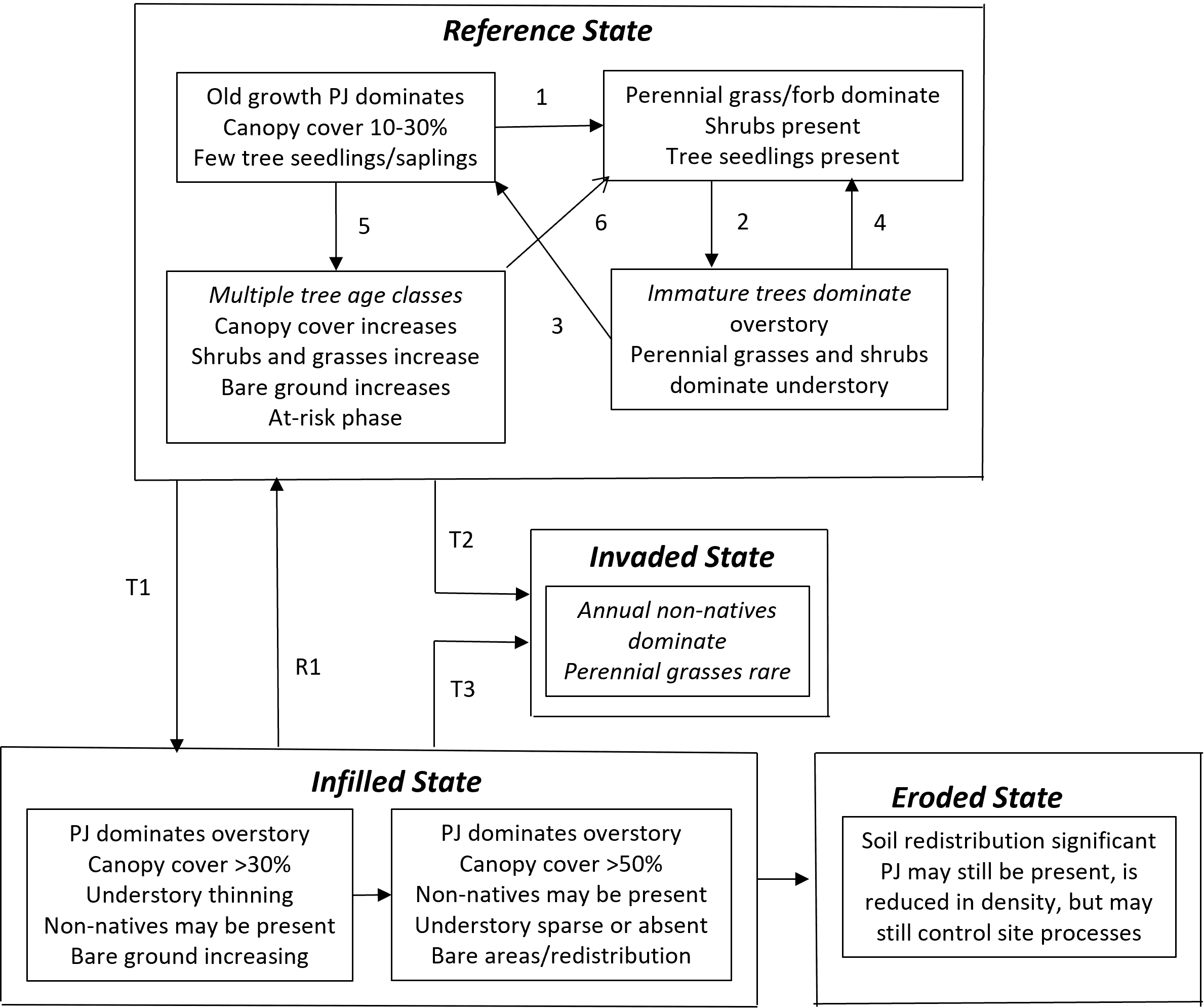 PJ State and Transition Model Example
