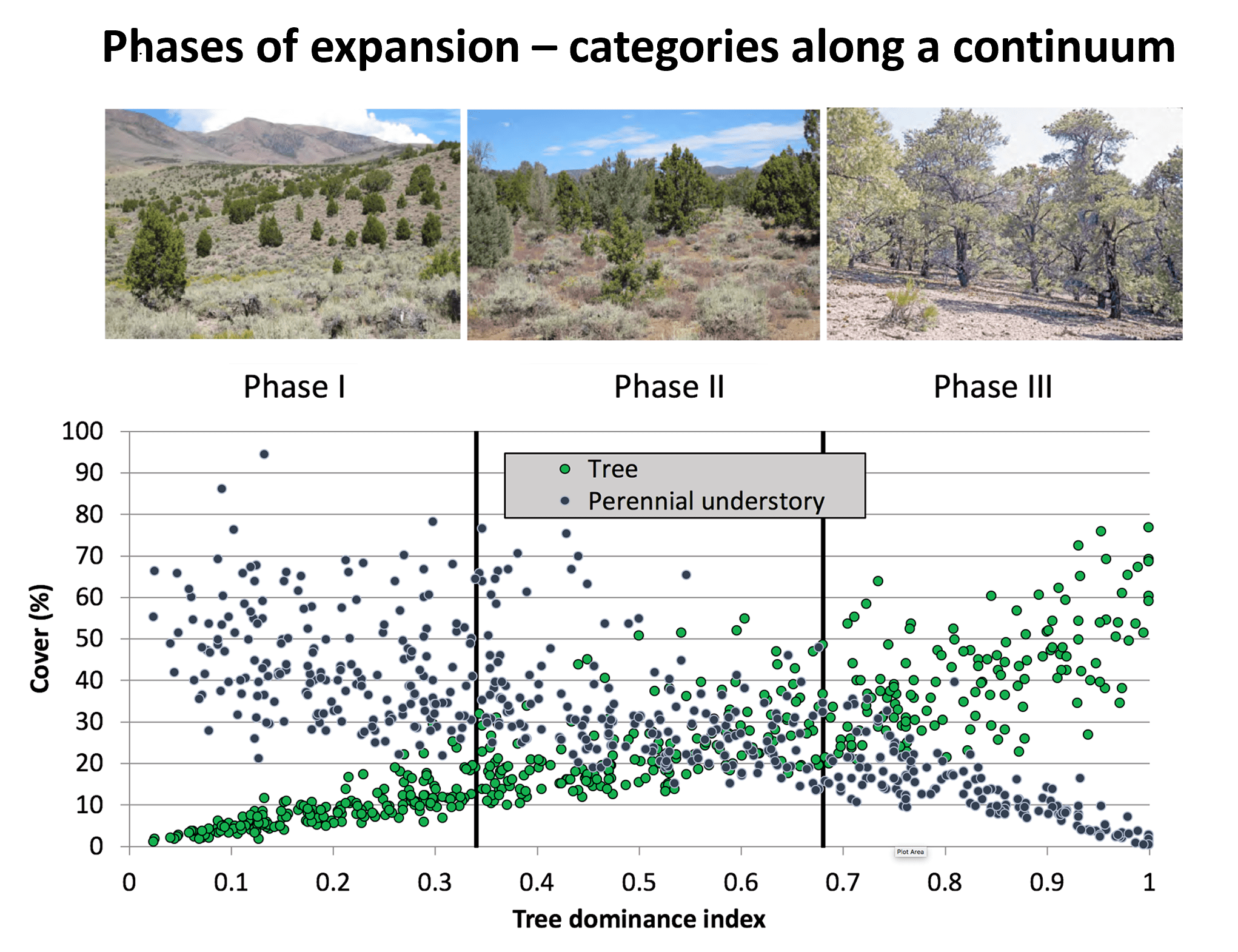Phase I more shrubs, less trees, which changes as move to phase III