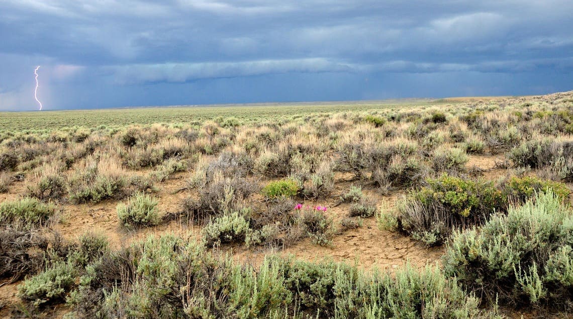 Sagebrush landscape with wildflowers and lightning