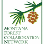 MT Forest Collaboration Network logo. A pine tree branch and pinecone