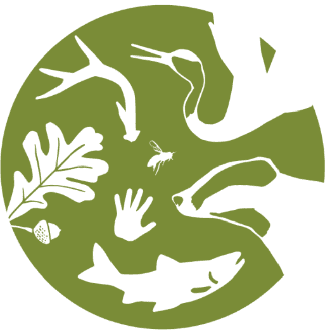 Conservation and Restoration 2026 Conf logo