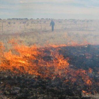 Rx Fire in shortgrass prairie