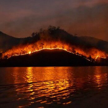 Forest fire behind a lake