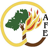 Assoc for Fire Ecology logo