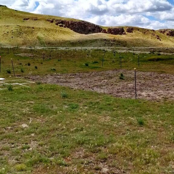 Experimental herbicide treatment plot in Idaho, courtesy of USGS.gov.
